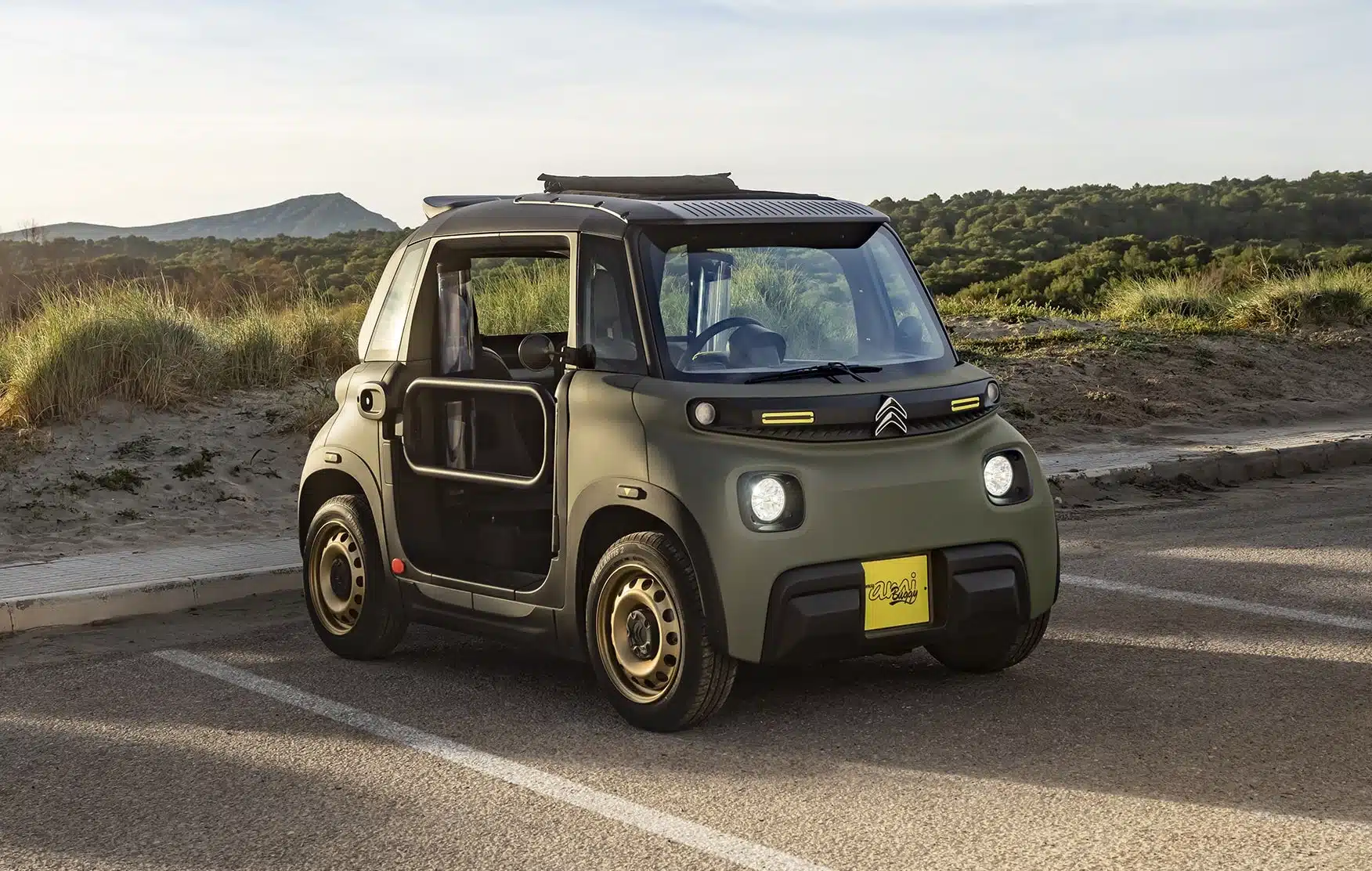 Buggy VSP